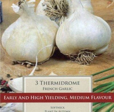 French Garlic Thermidrome