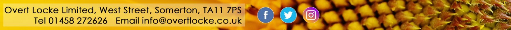 Sunflower footer with social media icons
