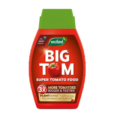 Tomato Food